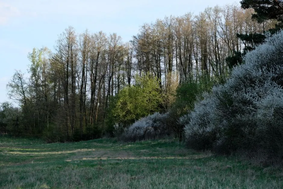 Paznokcie Wielkanoc 2026: 10 Najmodniejszych Wzorów i Kolorów