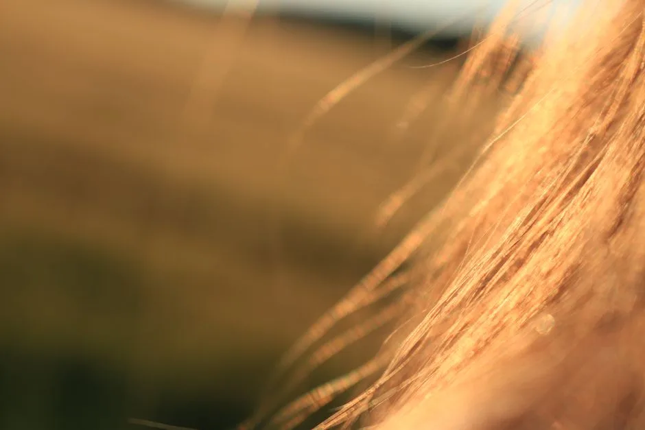 7 Odżywek Do Blondu, Które Przywrócą Blask Suchym Włosom